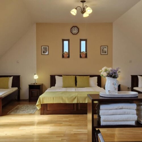 Vip Family Quadruple Room (extra bed available)