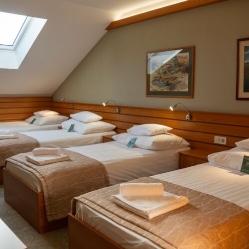 Standard Family Quadruple Room (extra bed available)