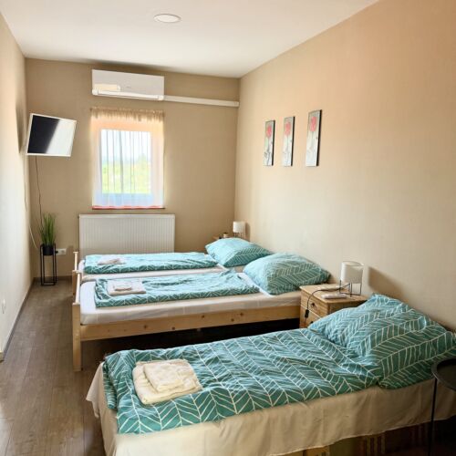 Panoramic Twin Room with Kitchen (extra bed available)