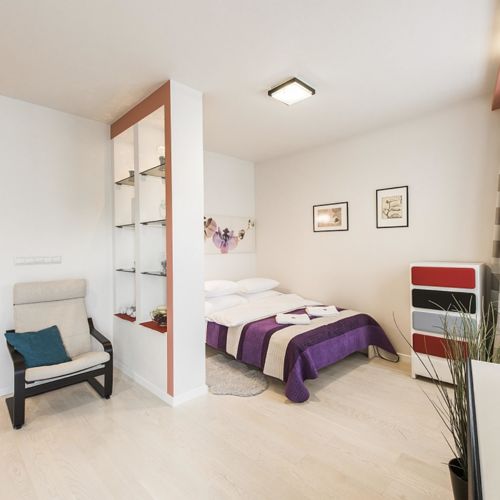 Apartament cu grup sanitar cu chicineta proprie cu 1 camera pentru 4 pers.