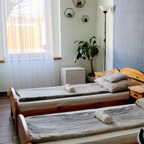 Camera twin la parter cu vedere spre grădină