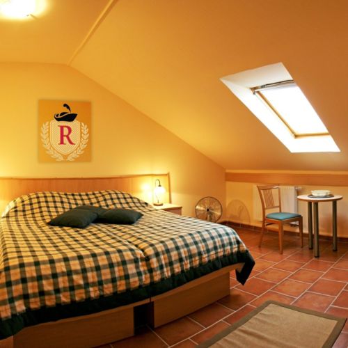 Camera twin la mansardă cu aer condiționat