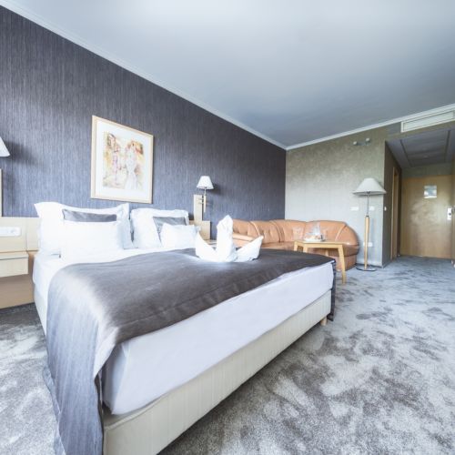 Camera dubla superior familial(a) (se poate solicita pat suplimentar)