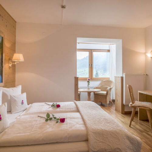 Camera dubla confort cu baie (se poate solicita pat suplimentar)