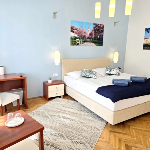 Camera dubla la parter cu vedere spre grădină