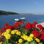 Apartmanok A Tenger Mellett Povlja, Brac - 710 Povlja