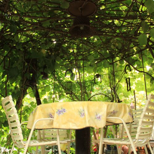 Apartament 2-osobowy z klimatyzacją z tarasem z 1 pomieszczeniem sypialnianym A-5290-b