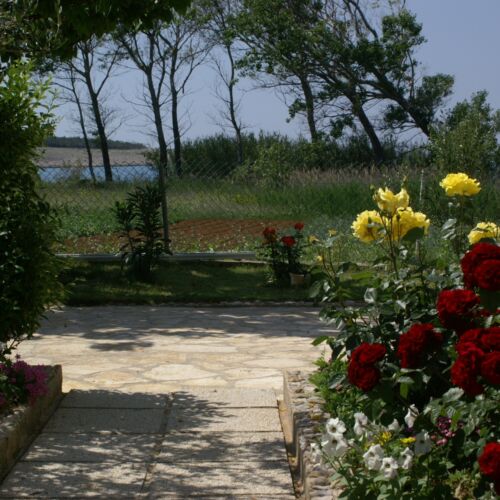 Sea View 2-Room Air Conditioned Apartment for 4 Persons A-230-a