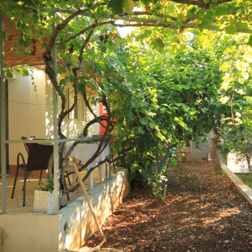 Apartament 2-osobowy z klimatyzacją z tarasem z 1 pomieszczeniem sypialnianym A-8897-b