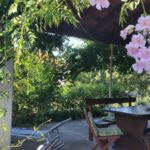 Apartament 2-osobowy z klimatyzacją z tarasem z 1 pomieszczeniem sypialnianym A-10226-b