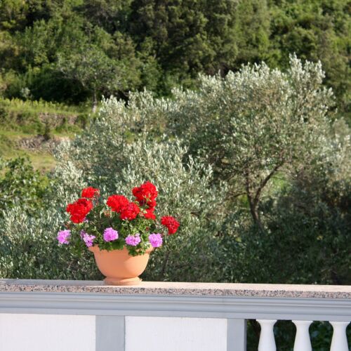 Apartament 6-osobowy z klimatyzacją z widokiem na morze z 3 pomieszczeniami sypialnianymi A-2022-a