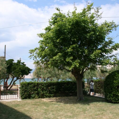 Apartament cu aer condiționat cu vedere spre mare cu 2 camere pentru 4 pers. A-6413-a