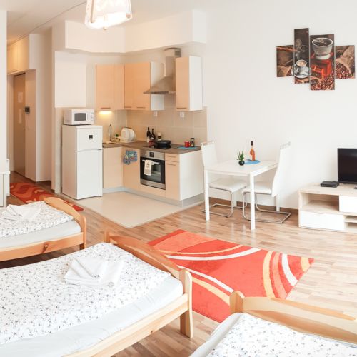 Studio 1-Room Family Apartment for 4 Persons