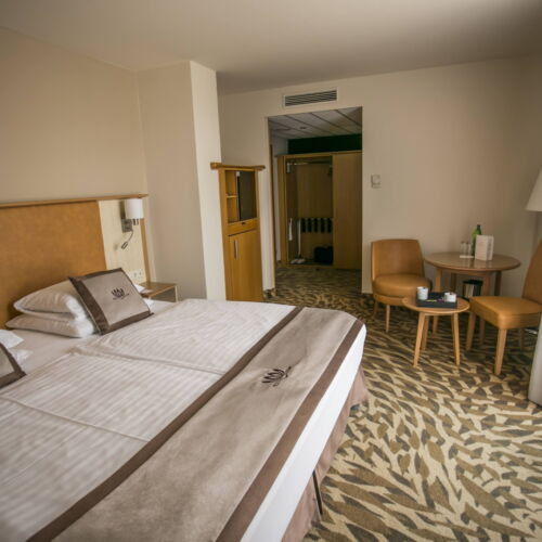 Pokój 2-osobowy Penthouse z panoramą