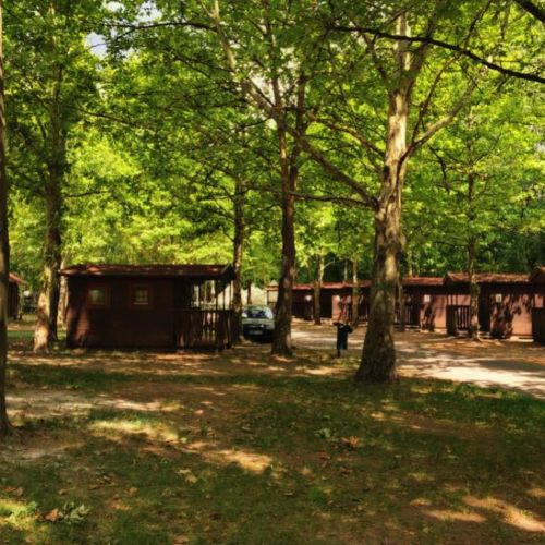 Tourist Chalet for 4 Persons without Bathroom