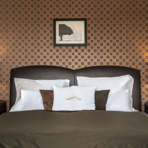 Rezydencja pokój 2-osobowy Superior z panoramą z 1 pomieszczeniem sypialnianym