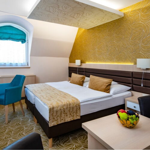 Camera twin superior cu duș