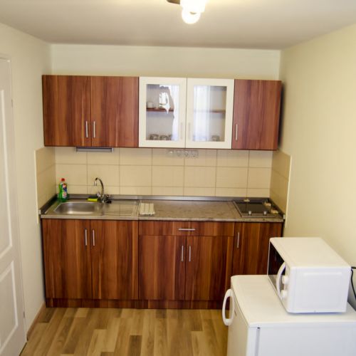 Ground Floor Twin 1-Room Apartment for 2 Persons (extra bed available)