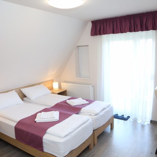 Mansard Balcony Twin Room