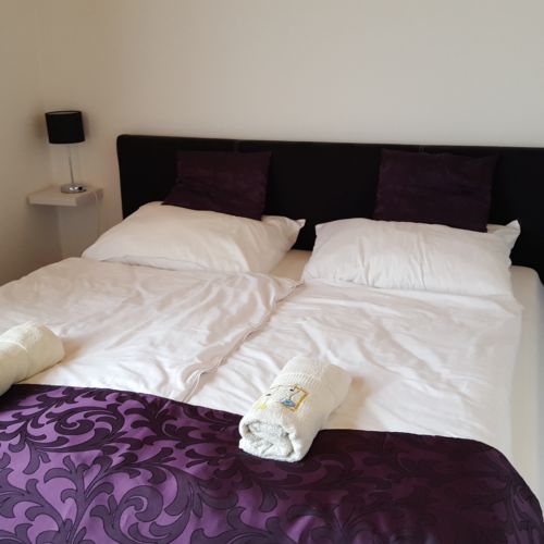 Apartament familial(ă) cu vedere spre grădină pentru 11 pers. (se inchirieaza doar integral)