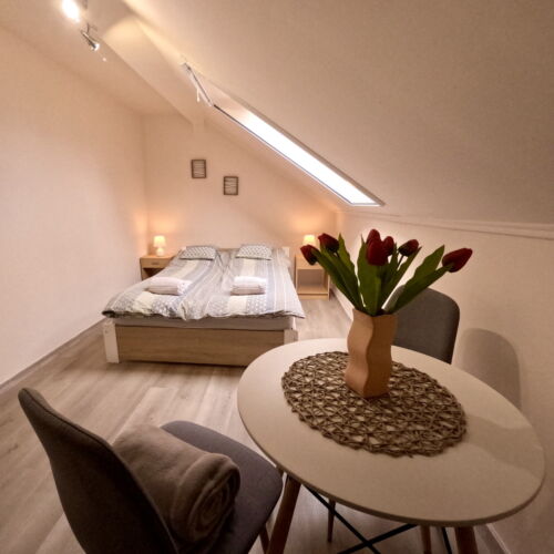 Double Room with Shared Bathroom and Shared Kitchenette