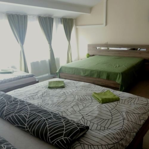 Camera familial(ă) cu vedere spre curte pentru 5 pers.