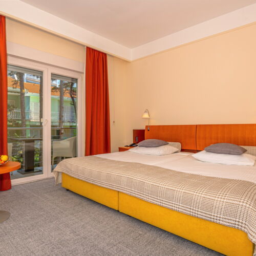 Camera twin cu vedere spre parc c (se poate solicita pat suplimentar)