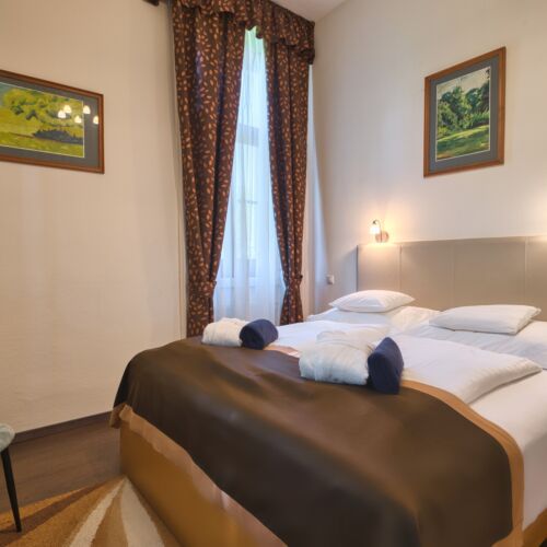 Camera dubla standard