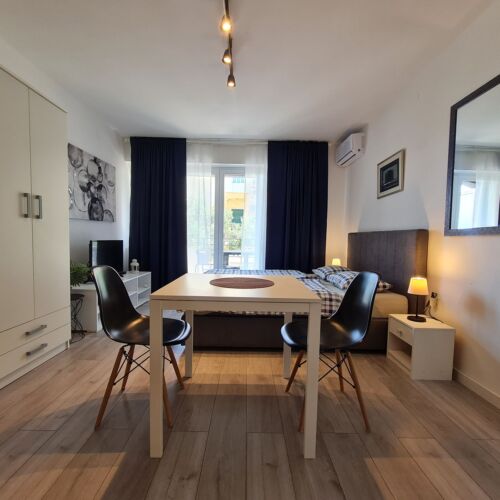 Apartament cu 1 camera pentru 2 pers.