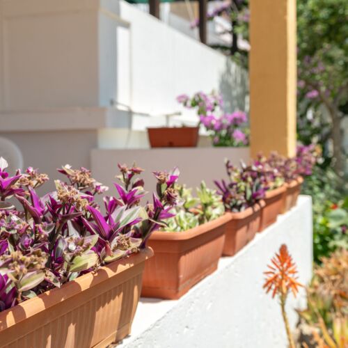 1-Room Apartment for 3 Persons