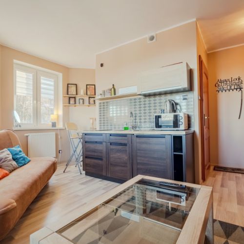 Apartament 4-osobowy Studio z 1 pomieszczeniem sypialnianym