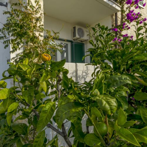 Apartament la parter cu aer condiționat cu 2 camere pentru 4 pers.