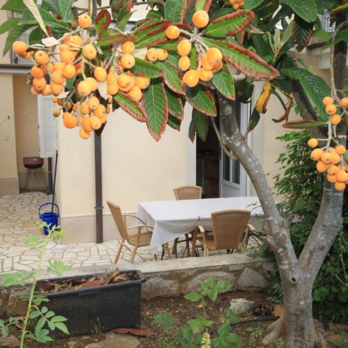 Apartament 2-osobowy z klimatyzacją z tarasem z 1 pomieszczeniem sypialnianym A-2518-c