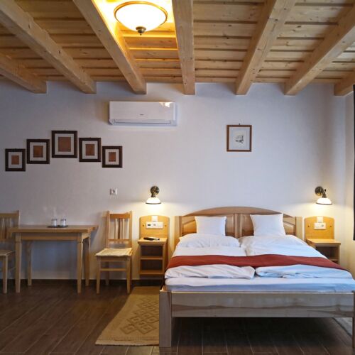 Camera dubla premium accesibil(ă) persoanelor cu dizabilități (se poate solicita pat suplimentar)