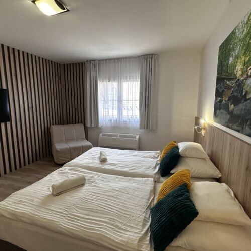 Camera twin (se poate solicita pat suplimentar)