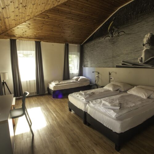 Camera twin superior familial(ă) (se poate solicita pat suplimentar)