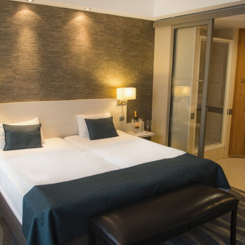 Suita superior Suite cu 1 camera pentru 2 pers. (se poate solicita pat suplimentar)