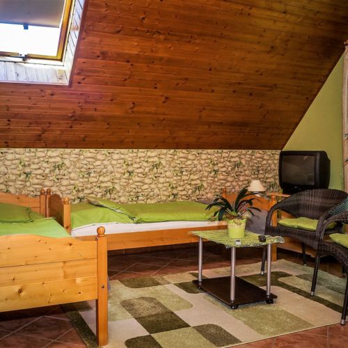 Apartament 2-osobowy na piętrze Studio z 1 pomieszczeniem sypialnianym (możliwa dostawka)