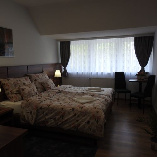 Camera twin la mansardă cu vedere spre oraș