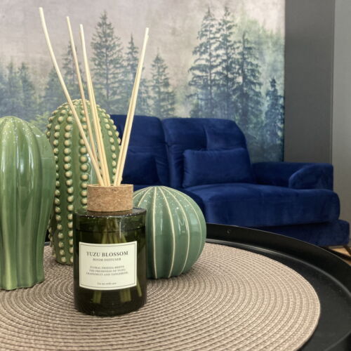 Apartament cu aer condiționat cu vedere spre grădină cu 2 camere pentru 3 pers.