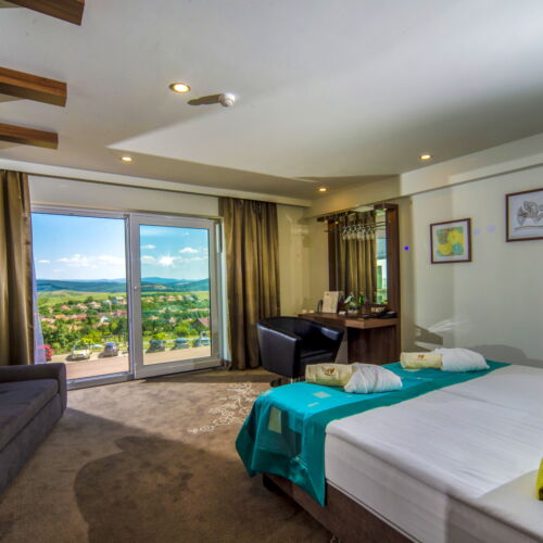 Superior Double Room (extra bed available)