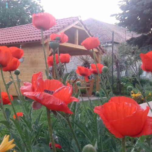 Casa de weekend toata casa accesibil(a) persoanelor cu dizabilitati pentru 15 pers. (se inchirieaza doar integral)