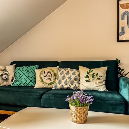 Apartament 2-osobowy z 1 pomieszczeniem sypialnianym (możliwa dostawka)