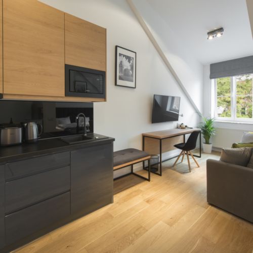 Pokój 2-osobowy Deluxe Studio (możliwa dostawka)