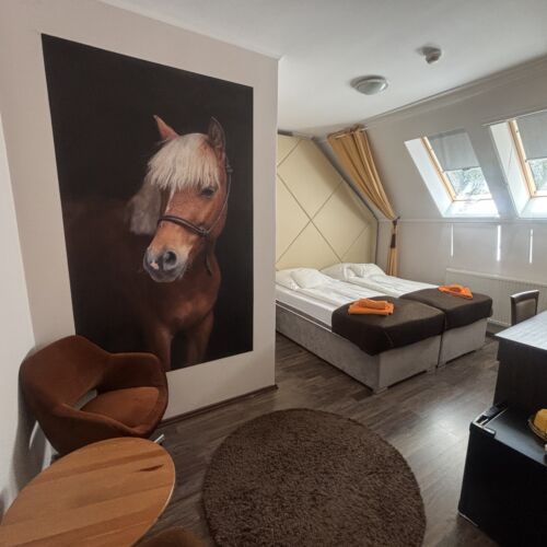 Standard Mansard Twin Room
