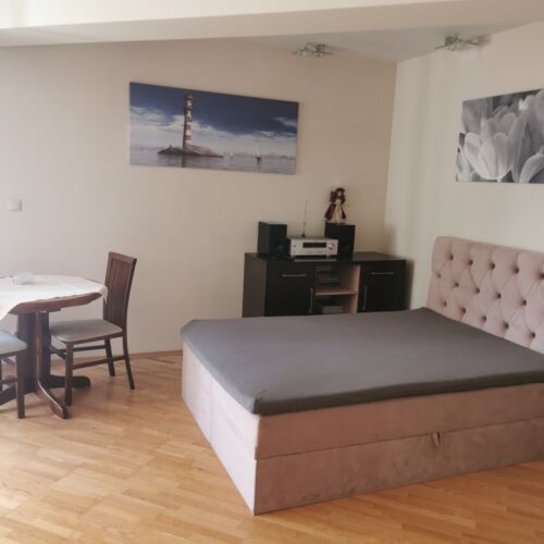 Apartament 3-osobowy Studio z 1 pomieszczeniem sypialnianym