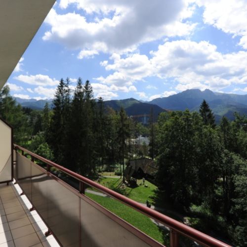 Mountain View Balcony Twin Room