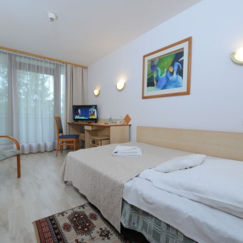 Mountain View Balcony Single Room