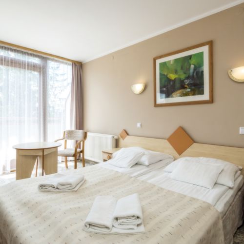 Mountain View 2-Room Family Apartment for 4 Persons (extra bed available)