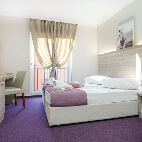 Camera dubla standard cu vedere spre grădină (se poate solicita pat suplimentar)